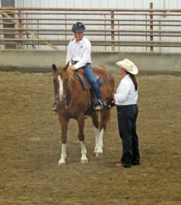 2016 Southwest ND 4-H Horse Show results