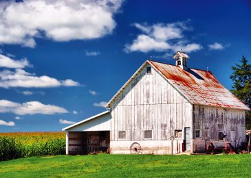 Cultural growth: A look at Midwestern values from a former community member